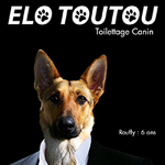 Affiches travaux personnels