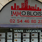 agence immobilière
