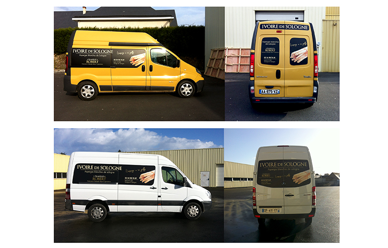 Graphiste Illustrateur