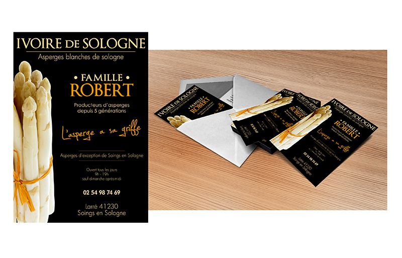 Graphiste Illustrateur