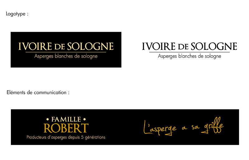 Graphiste Illustrateur