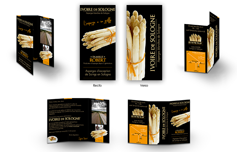 Graphiste Illustrateur