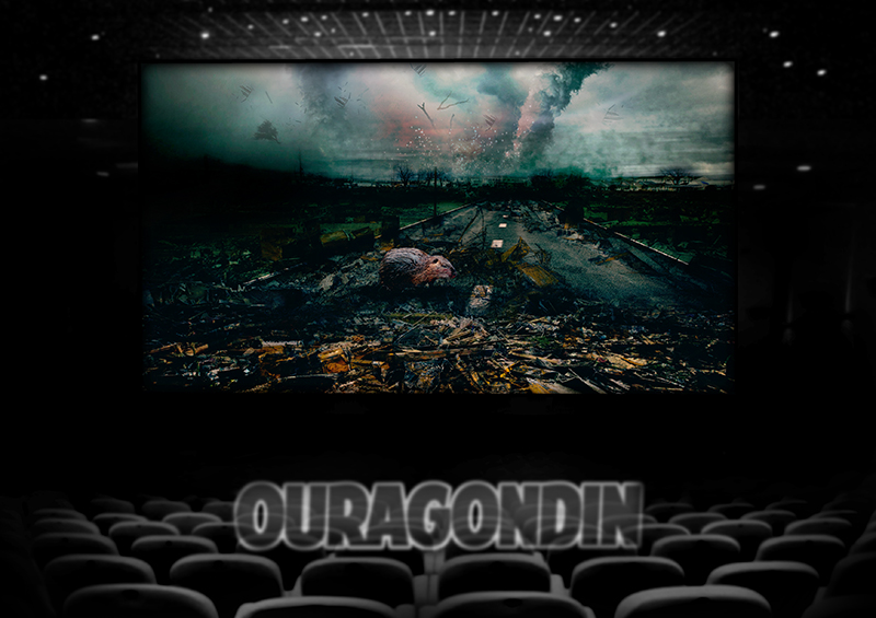 Graphiste Illustrateur