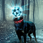 Affiches travaux personnels