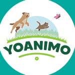 yoanimo